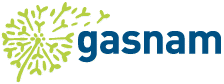 Gasnam es una asociación que fomenta el uso del gas natural y renovable en la movilidad, tanto terrestre como marítima, en la Península Ibérica